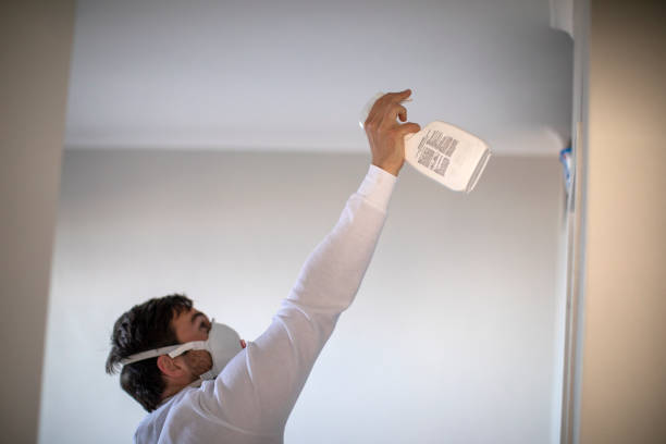 Best Affordable Mold Removal  in Lewiston, CA