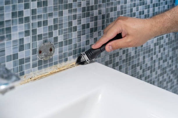 Best Residential Mold Removal  in Lewiston, CA