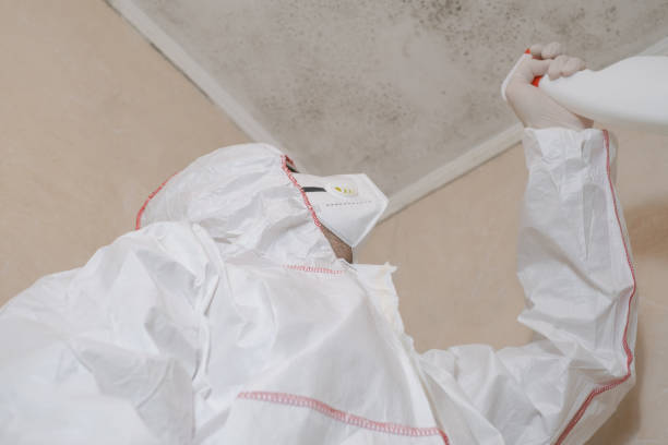 Best Mold Remediation  in Lewiston, CA