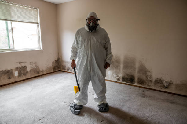 Best Mold Testing  in Lewiston, CA